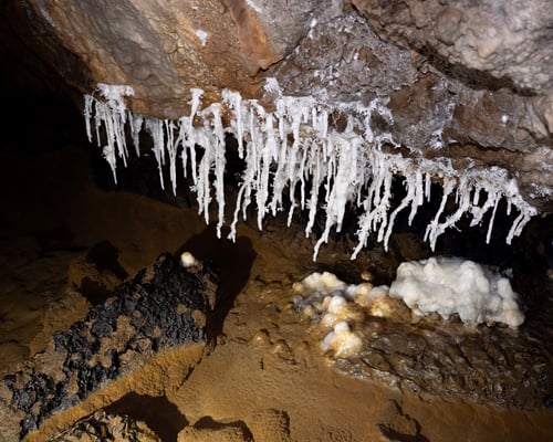 Formations in the White Forest